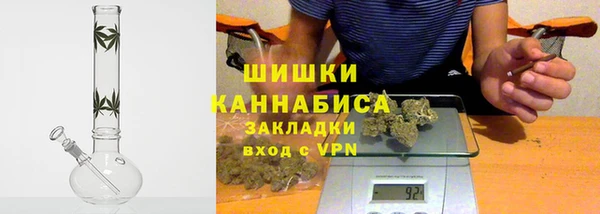 ПСИЛОЦИБИНОВЫЕ ГРИБЫ Белоозёрский