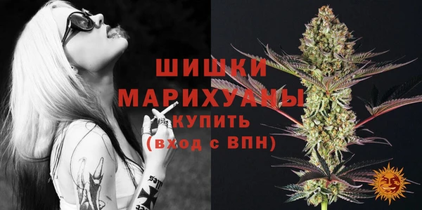 ПСИЛОЦИБИНОВЫЕ ГРИБЫ Белоозёрский