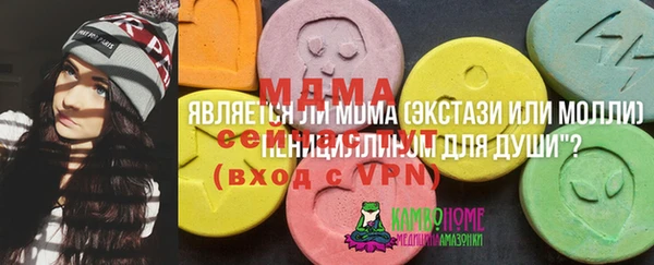 ПСИЛОЦИБИНОВЫЕ ГРИБЫ Белоозёрский