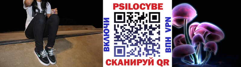 Псилоцибиновые грибы Psilocybine cubensis  Салаир 